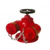 多功能水泵接合器（消防器材）