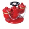 SQD100-1.6A多用式地下水泵接合器