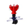 SA150/80-1.6地下式室外消火栓