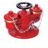 水泵接合器，SQD多用式消防水泵接合器
