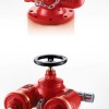 消防多用式水泵接合器