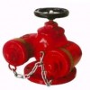 SQD多用式消防水泵接合器，进口多用式消防水泵接合器