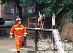 杭州第一支消防搜救犬队成立