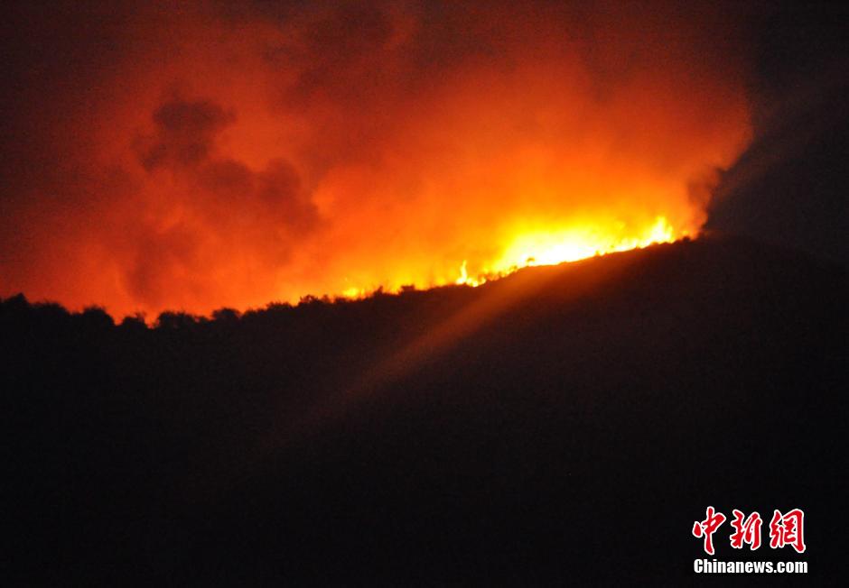 贵州福泉发生森林火灾 5名救火人员遇难