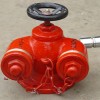 多用式消防水泵接合器SQD80-1.6W