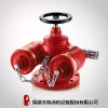 福建齐鲁消防供应SQD100-1.6多用式消防地上水泵接合器