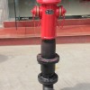 供应重庆地上式消防水泵接合器