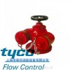 泰科FM消防SQD多用式水泵接合器/消防水泵结合器