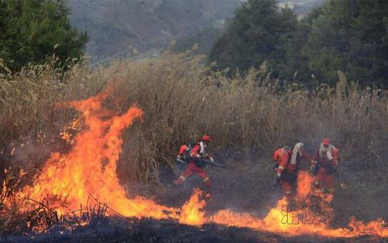 云南玉溪森林火灾烧到昆明境内 部队官兵出动灭火