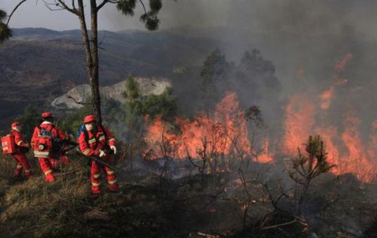 云南玉溪森林火灾烧到昆明境内 14集团军救援