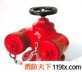 供应天广SQD多用式消防水泵接合器