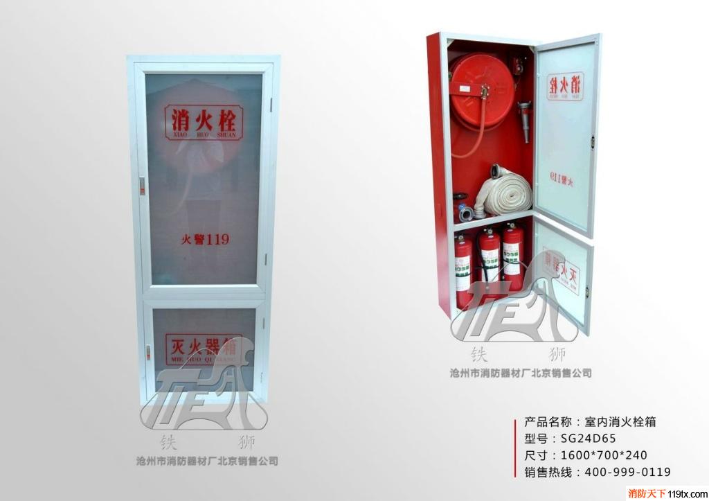 供应铁狮SG系列室内消火栓箱 消防箱